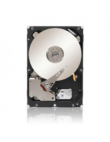 Seagate-ST1000NM0023-RFB