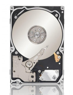 Seagate-ST91000640NS-RFB