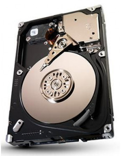 Seagate-ST9300653SS-RFB