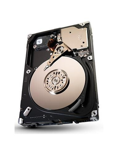 Seagate-ST9300653SS-RFB