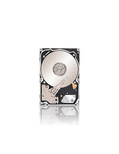 Seagate-ST9500620NS-RFB