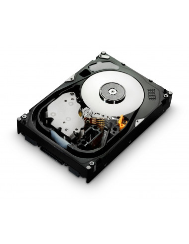 HGST-HUS156045VLS600-RFB