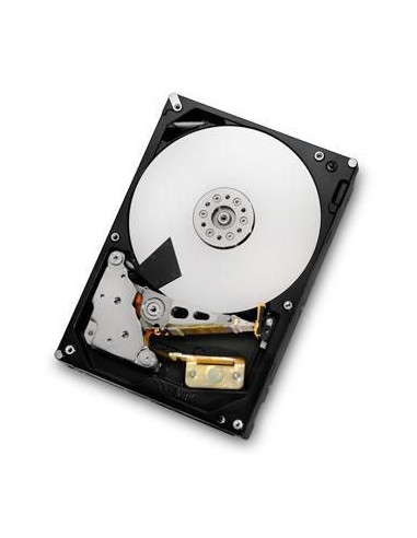 HGST-HDS723020BLA642-RFB