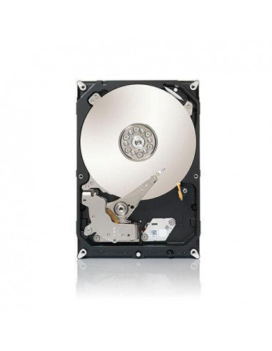 Seagate-ST3000DM001-RFB