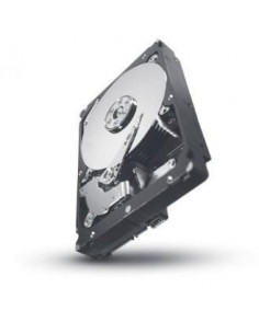 Seagate-ST31000424SS-RFB