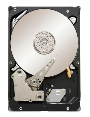 Seagate-ST31000524NS-RFB