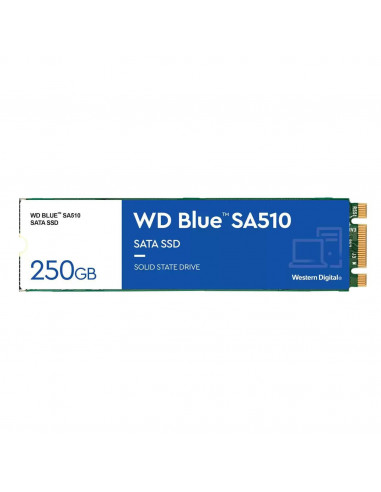 Western Digital-WDS250G3B0B