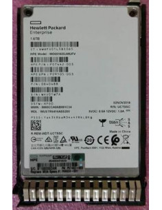 Hewlett Packard Enterprise-P09924-001