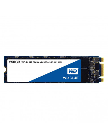 Western Digital-WDS250G2B0B