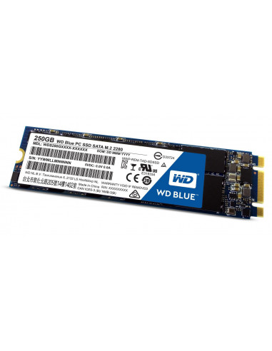 Western Digital-WDS250G1B0B